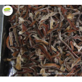 Wholesale distribute bulk IQF frozen black fungus